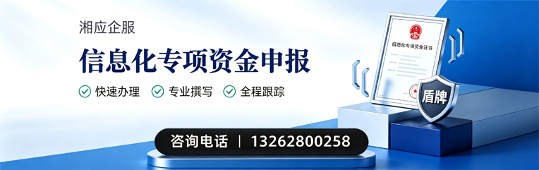 烟台信息化专项资金申报服务