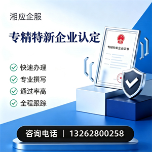 烟台专精特新企业申报服务