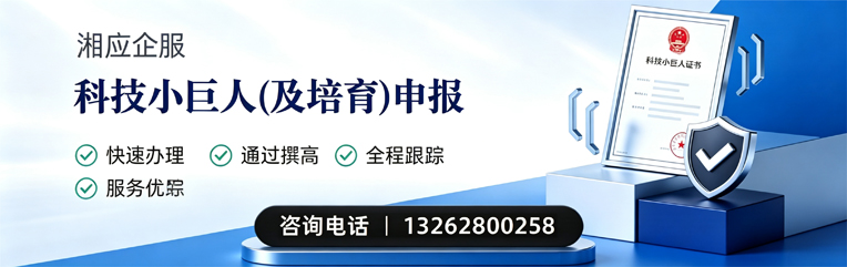 烟台科技小巨人及培育企业申报服务