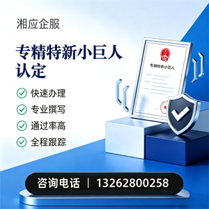 烟台专精特新小巨人申报服务
