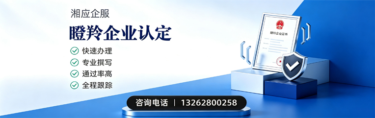 烟台瞪羚企业认定申报服务