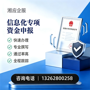 烟台信息化专项资金申报服务