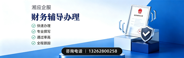 烟台财务辅导申请服务