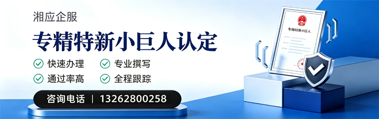 烟台专精特新小巨人申报服务
